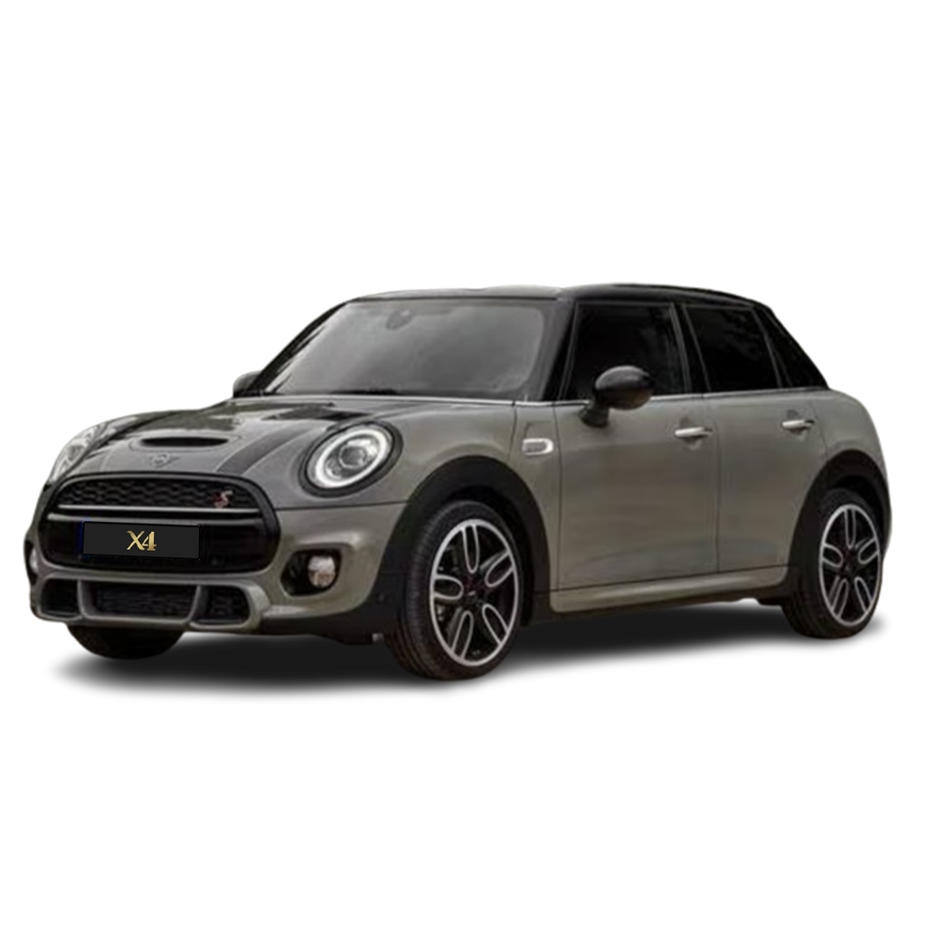 Mini S